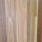 Australian Hardwood Engineered Timber Flooring Spotted Gum Parrys Carpets Perth