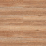 Radiant Spotted Gum