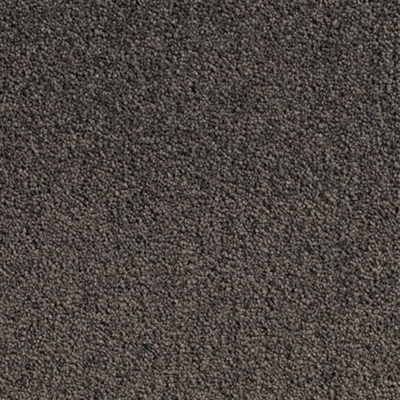 Grand Appeal Mole Grey Parrys Carpets Perth