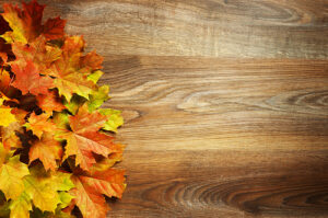 Autumn Trends, Colours and Flooring for the Season