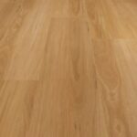 Blackbutt
