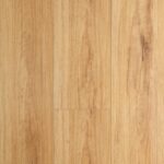 Blackbutt