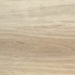 Northern Blackbutt