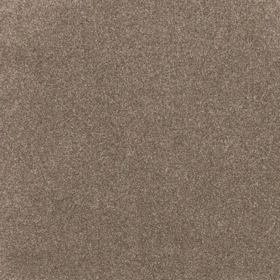 Coco Bliss Euphoria Parrys Carpets Perth