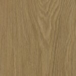Shoreline Oak