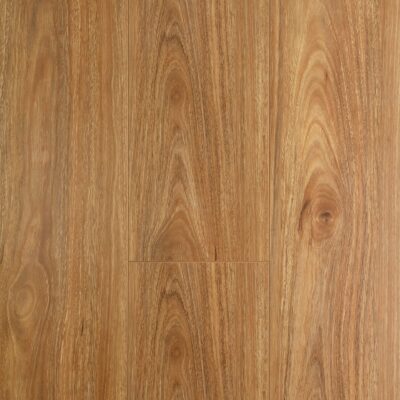 Oakleaf Spotted Gum Parrys Carpets Perth