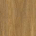Trinity Spotted Gum