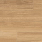 Coastal Blackbutt