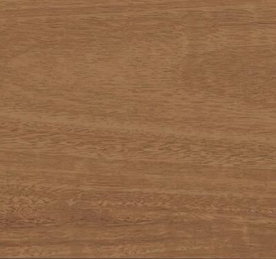 SpaceWalk Star Spotted Gum Parrys Carpets Perth